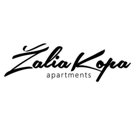 Zalia Kopa Apartments パランガ エクステリア 写真
