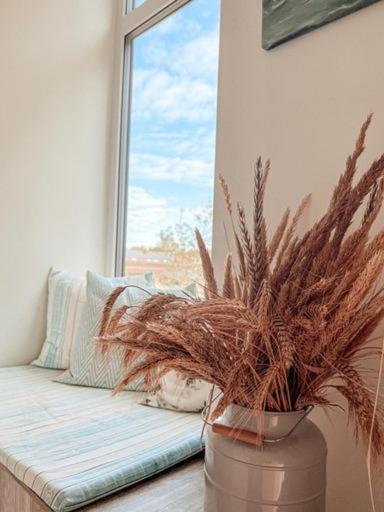Zalia Kopa Apartments パランガ エクステリア 写真